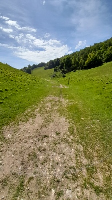 Steep hill after Swanborough Lake