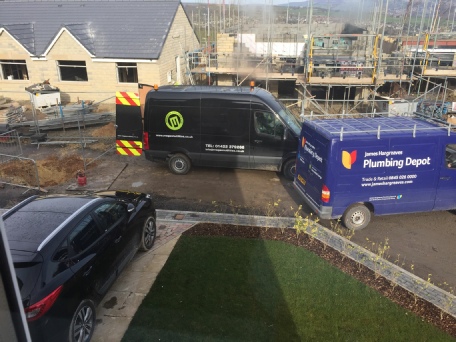 Trapped in a new home!