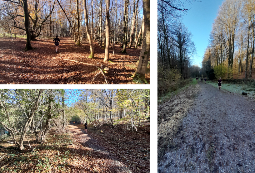 So lovely in the quiet of the wooded sections with the sunlight. So lovely in the quiet of the wooded sections with the sunlight.